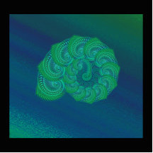 Blue, Green Shell. Abstract Art Design. Photo Sculpture