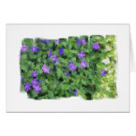 Blue Green Sprinkle Greeting Card