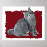 Blue/Grey Tabby Cat posters