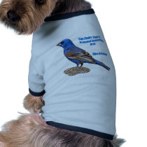 Blue Grosbeak