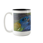 Blue Headed Amazon parrot mug