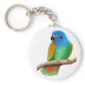Blue Headed Pionus Parrot Keychain
