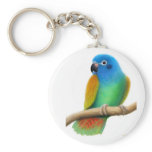 Blue Headed Pionus Parrot Keychain