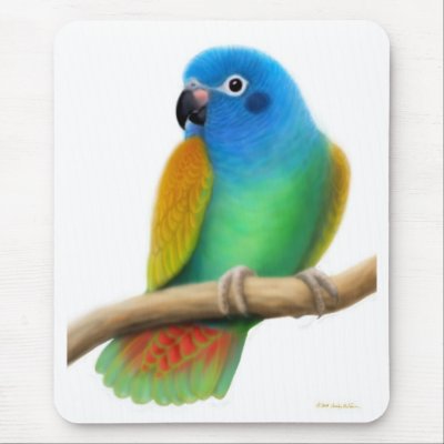 Blue Headed Pionus Parrot Mousepad by twopurringcats