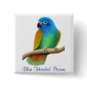 Blue Headed Pionus Pin buttons