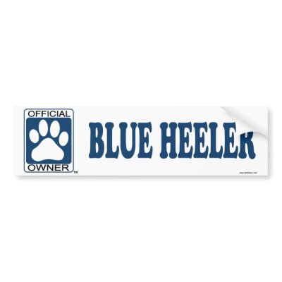 Blue Heeler Blue by GenuineDogOwner