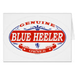 Blue Heeler  Greeting Cards