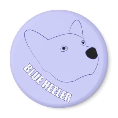 Blue Heeler Fridge Magnet by boldhumor