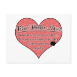 Blue Heeler Mixes Paw Prints Dog Humour Postcards