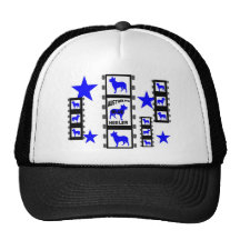 Blue Heeler Movie Star On Film Hat