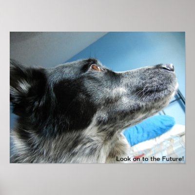 Blue Heeler Poster by Puppets_Shoppe