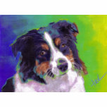 Blue Heeler t-shirts