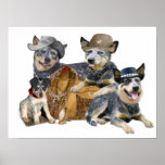 blue heeler western design posters