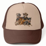 Blue Heeler Western Theme Apparel Hat
