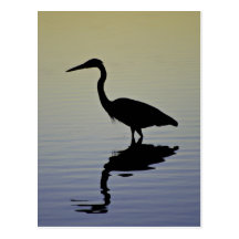 Blue Heron Bird Silhouette at Sunset Post Card
