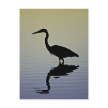 Blue Heron Bird Silhouette at Sunset Post Card