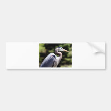 Blue Heron Bumper Sticker