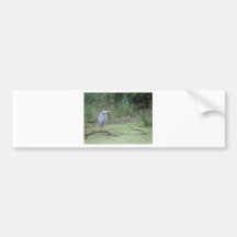 Blue Heron Bumper Sticker