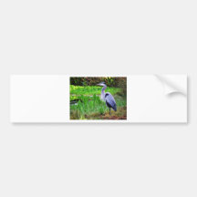 Blue Heron Bumper Stickers