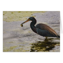 Blue Heron Catch Greeting Card