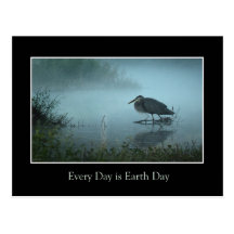 Blue Heron Eco Postcard