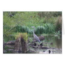 Blue Heron Greeting Card