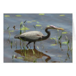 Blue Heron Greeting Cards