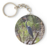 Blue Heron