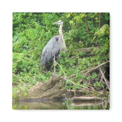 Blue Heron Fridge Magnet by princessklb07
