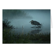 Blue Heron Note Card