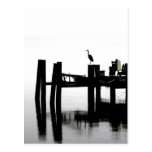 Blue Heron on a Grey Day Postcard