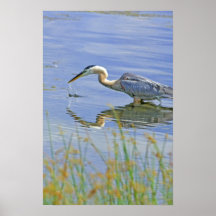 Blue Heron Painted Affect Poster