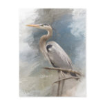 Blue Heron Postcards
