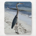 Blue Herring Mousepad