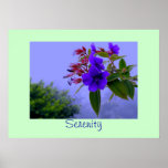 Blue Hibiscus Tropical Flowers Serenity Print