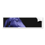 Blue Horse Design Bumper Stickers