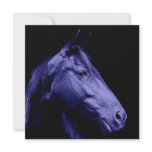 Blue Horse Design Invitation