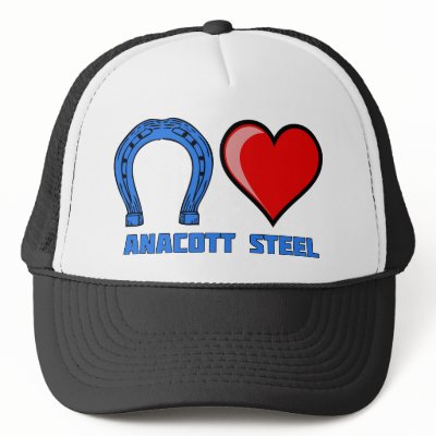 Blue Horseshoe Loves Anacott Steel hat by teebag