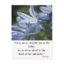 Blue Hosta Trumpets Postcard
