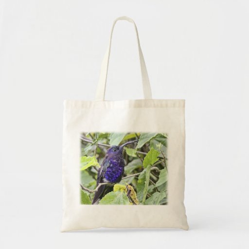 Blue Hummingbird Photo Canvas Bag