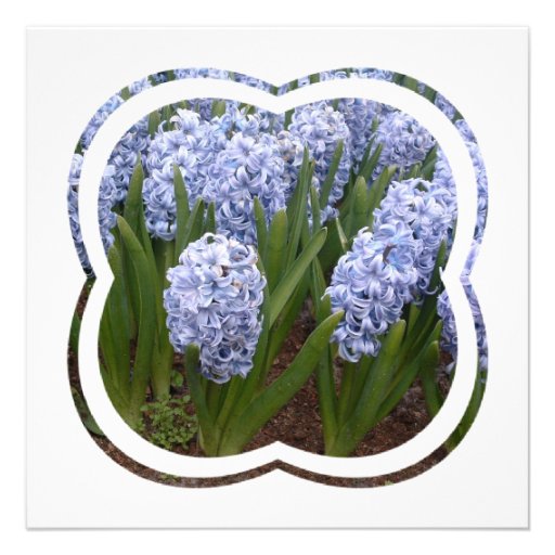 Blue Hyacinth Flower Invitation