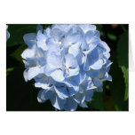 Blue Hydrangea card