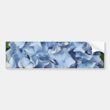 Blue Hydrangea Flower Bumper Stickers