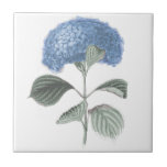 Blue Hydrangea Flower Ceramic Tile