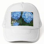 Blue Hydrangea