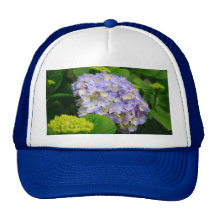 Blue Hydrangea Hats