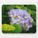 Blue Hydrangea Mousepad
