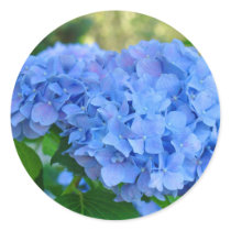 Blue Hydrangea stickers Summer Hydrangea Garden