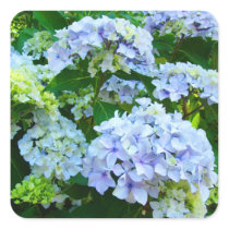 Blue Hydrangea Summer Flowers stickers
