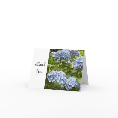 Blue Hydrangea Thank You Card by seashell2